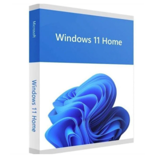 Microsoft Windows 11 Home (ESD)